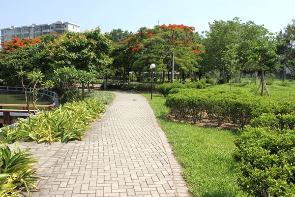 成都绿化管理公司介绍园林工具保养知识